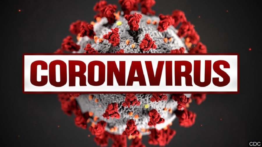corona virus graphic